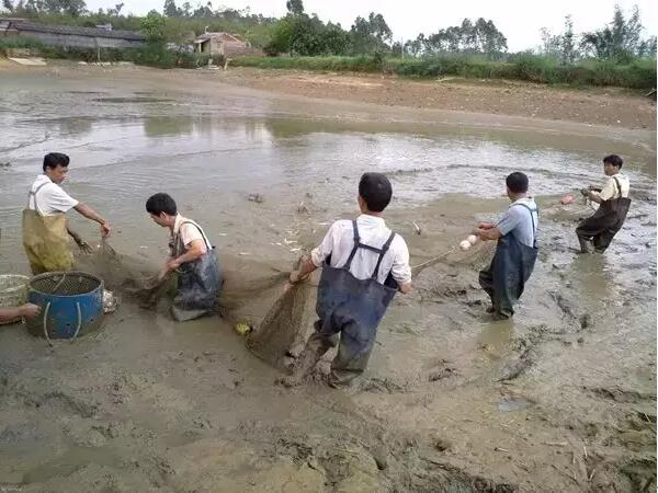 在茅市，有一种记忆叫“干塘”(图3)