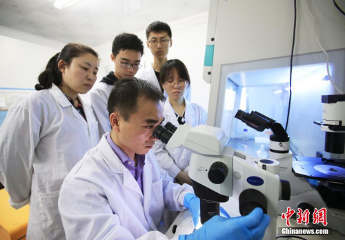 收入分配改革提速 这些人的收入将发生大变化(图1) 收入分配改革提速 这些人的收入将发生大变化(图1)