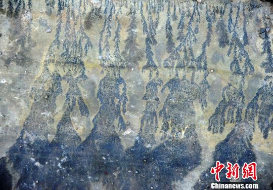 重庆酉阳发现疑似天然岩画(图3) 重庆酉阳发现疑似天然岩画(图3)