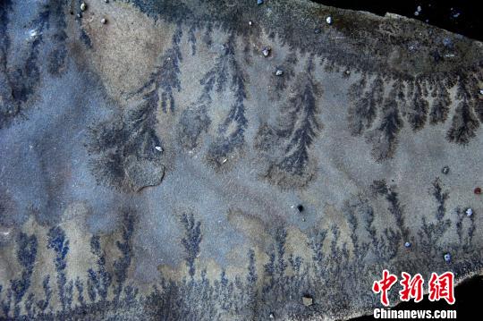 重庆酉阳发现疑似天然岩画(图2) 重庆酉阳发现疑似天然岩画(图2)