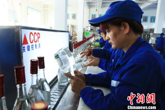 图为企业设立“关键控制点”,对影响产品质量的关键程序进行严格监控。 田伟 摄 传统工艺“加持”现代化标准:让酒香飘出锡林郭勒草原(图3)