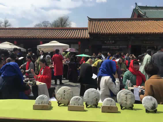 606608456918228120.jpg 無茶——首届云南普洱茶冲泡技法大赛总决赛春城落下帷幕(图13)