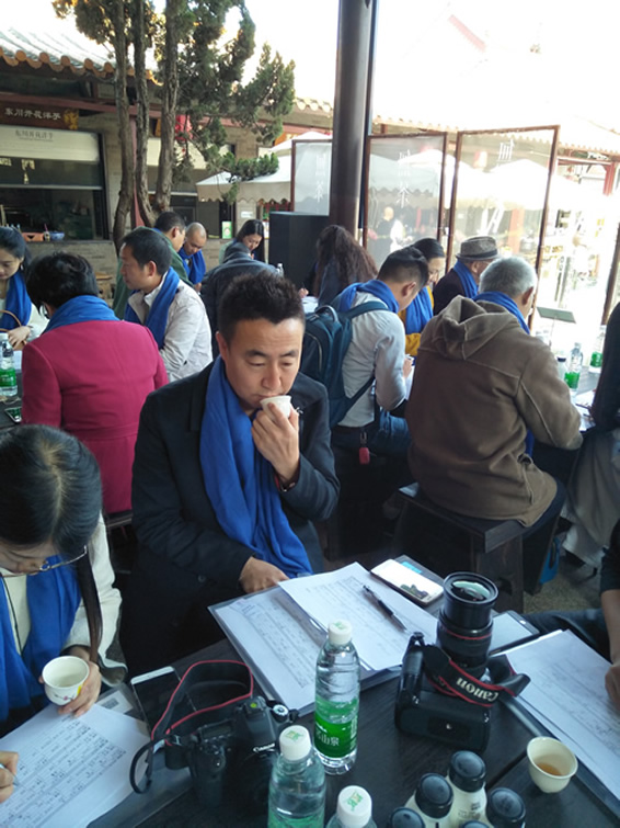 专业评委.jpg 無茶——首届云南普洱茶冲泡技法大赛总决赛春城落下帷幕(图8)