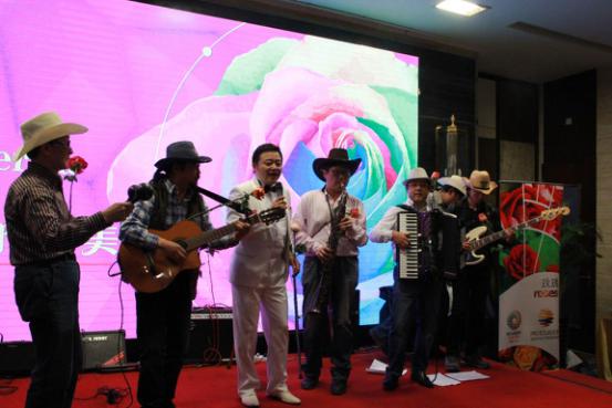 不再遥远的赤道之国——绚丽的玫瑰  热情的拉美(图4)