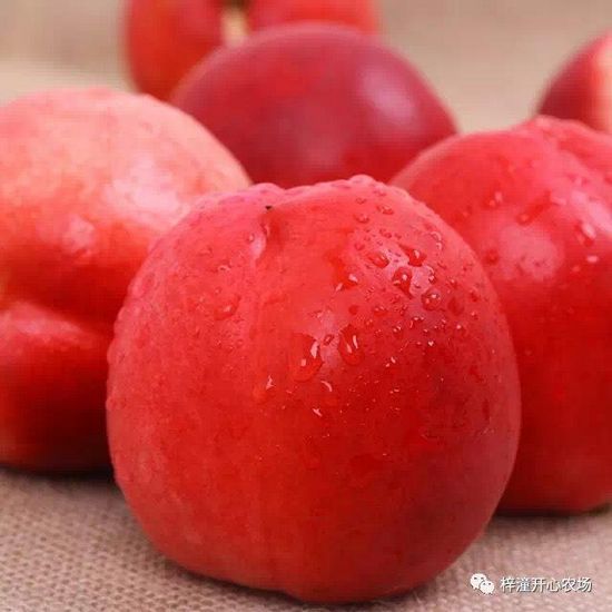 离成都仅2小时车程,这里竟藏着个小桃源!(图18) 离成都仅2小时车程,这里竟藏着个小桃源!(图18)