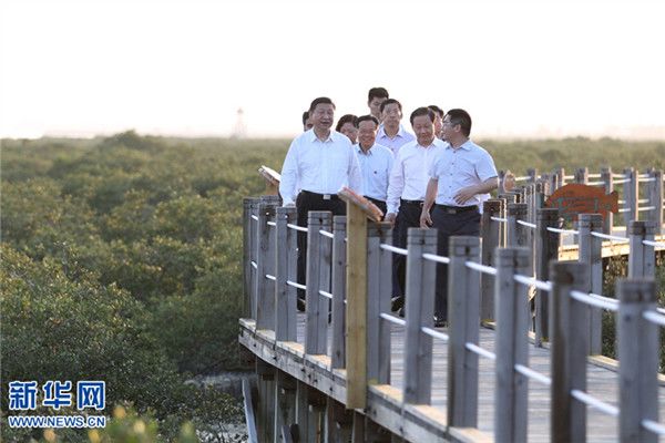 十八大以来,习近平反复强调“绿水青山”(图1) 十八大以来,习近平反复强调“绿水青山”(图1)