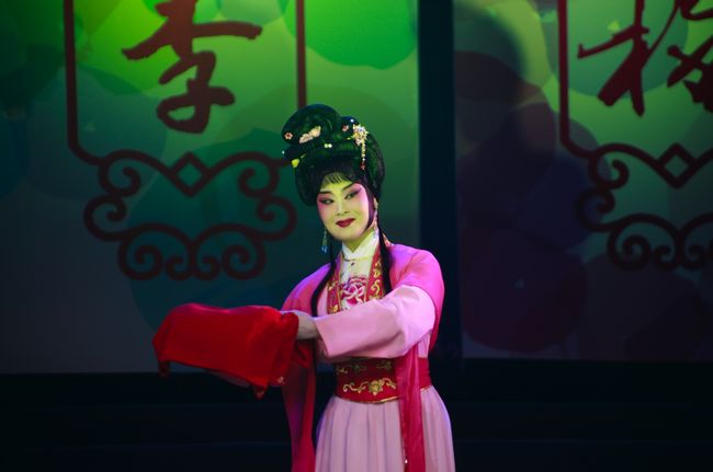 花开桃李梅——十地方戏曲剧种《桃李梅》同城汇演”正式启幕(图8) 花开桃李梅——十地方戏曲剧种《桃李梅》同城汇演”正式启幕(图8)