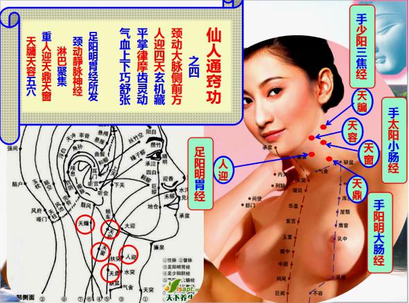 道源圣地话养生 陈红涛教授青城山下传授独创功法(图3)