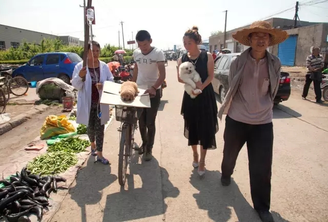 梦想飞扬——历届全国“群艺杯”摄影艺术作品展览集萃(图31) 梦想飞扬——历届全国“群艺杯”摄影艺术作品展览集萃(图31)