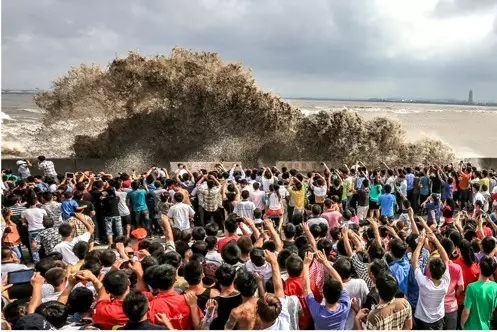 梦想飞扬——历届全国“群艺杯”摄影艺术作品展览集萃(图34) 梦想飞扬——历届全国“群艺杯”摄影艺术作品展览集萃(图34)