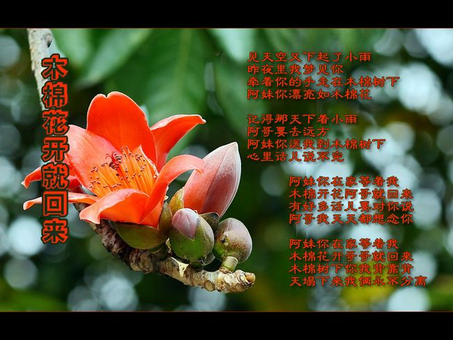 “民族语文故事”之四: 王杰清:传承民族文化的先行者(图4) “民族语文故事”之四: 王杰清:传承民族文化的先行者(图4)