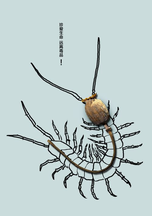 我爱成都温江：网友投稿146(图1)