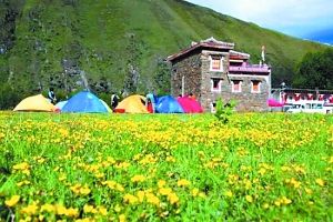 玩自驾 这些景观大道别错过(图4) 玩自驾 这些景观大道别错过(图4)