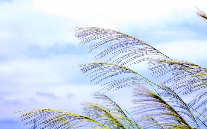 周国平献给年轻人的金句:比成功更宝贵的是追求本身(图5) 周国平献给年轻人的金句:比成功更宝贵的是追求本身(图5)