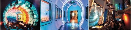 博物馆中的光影之舞(图2) 博物馆中的光影之舞(图2)