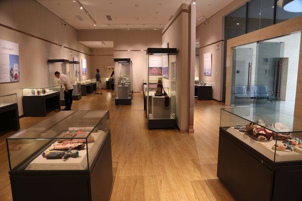 丝绸之路国际文化周西安举办(图2) 丝绸之路国际文化周西安举办(图2)