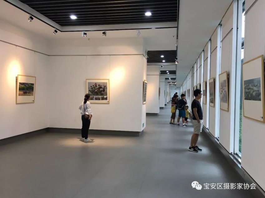 历届全国“群艺杯”摄影艺术展览作品集萃亮相深圳宝安(图15) 历届全国“群艺杯”摄影艺术展览作品集萃亮相深圳宝安(图15)