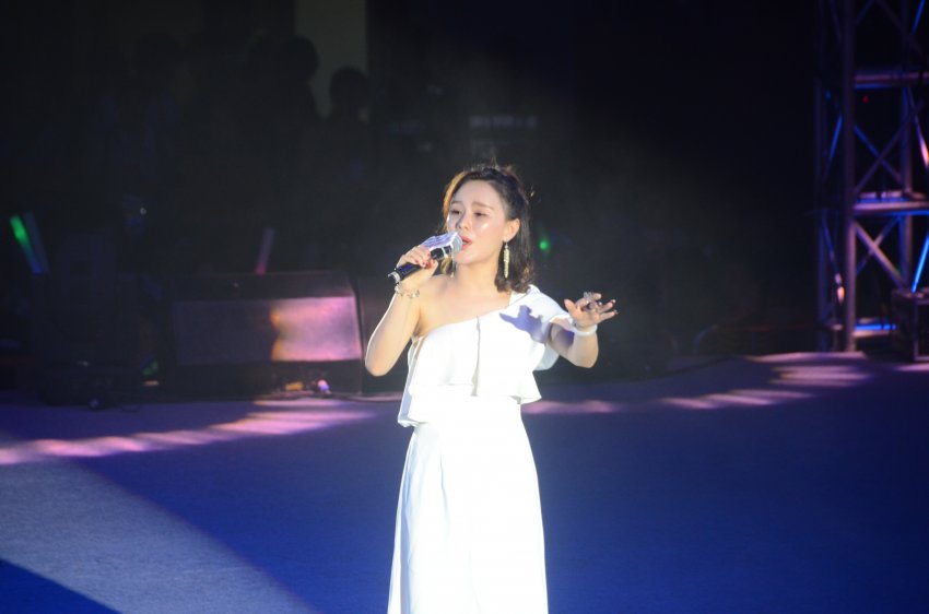 华语群星广东巡回演唱会东莞站众星闪耀(图4)