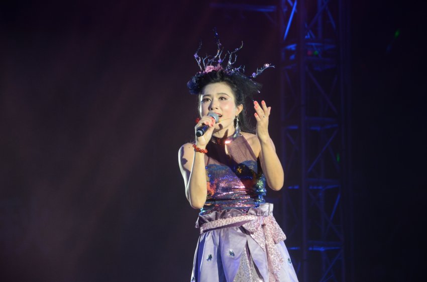 华语群星广东巡回演唱会东莞站众星闪耀(图8)