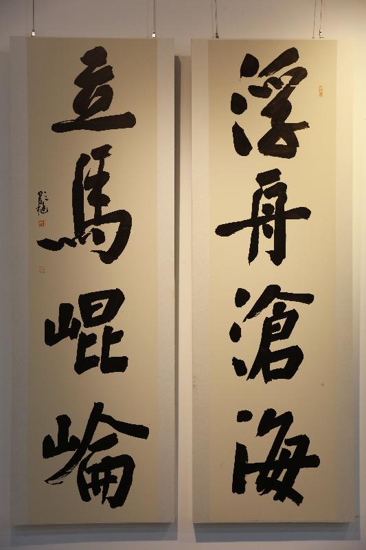 邹挺书法艺术展在宝安区图书馆开幕(图4)