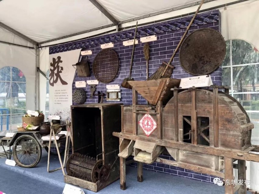 东莞东坑“二月初二卖身节”再现农耕民俗新魅力(图8) 东莞东坑“二月初二卖身节”再现农耕民俗新魅力(图8)