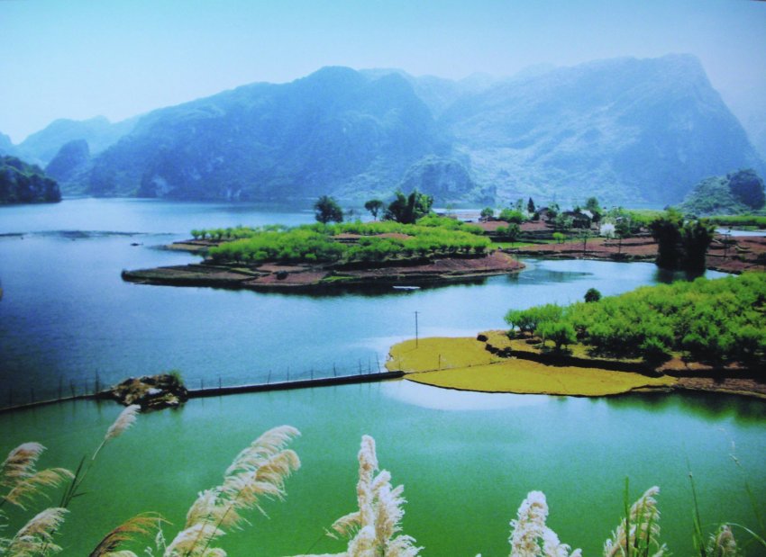 广西第一湾股份在汕头特区设办事处(图6) 广西第一湾股份在汕头特区设办事处(图6)