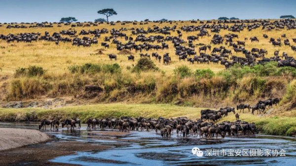 “鹏城赋彩·奋楫扬帆”《深圳宝安摄影12相》第五集主题摄影艺术展参展艺术家(图12) “鹏城赋彩·奋楫扬帆”《深圳宝安摄影12相》第五集主题摄影艺术展参展艺术家(图12)