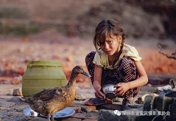 “鹏城赋彩·奋楫扬帆”《深圳宝安摄影12相》第五集主题摄影艺术展参展艺术家(图11) “鹏城赋彩·奋楫扬帆”《深圳宝安摄影12相》第五集主题摄影艺术展参展艺术家(图11)