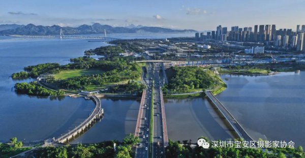 “鹏城赋彩·奋楫扬帆”《深圳宝安摄影12相》第五集主题摄影艺术展参展艺术家(图25) “鹏城赋彩·奋楫扬帆”《深圳宝安摄影12相》第五集主题摄影艺术展参展艺术家(图25)