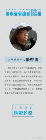 “鹏城赋彩·奋楫扬帆”《深圳宝安摄影12相》第五集主题摄影艺术展参展艺术家(图35) “鹏城赋彩·奋楫扬帆”《深圳宝安摄影12相》第五集主题摄影艺术展参展艺术家(图35)