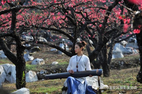 “鹏城赋彩·奋楫扬帆”《深圳宝安摄影12相》第五集主题摄影艺术展参展艺术家(图40) “鹏城赋彩·奋楫扬帆”《深圳宝安摄影12相》第五集主题摄影艺术展参展艺术家(图40)