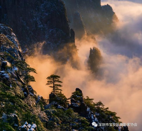 “鹏城赋彩·奋楫扬帆”《深圳宝安摄影12相》第五集主题摄影艺术展参展艺术家(图46) “鹏城赋彩·奋楫扬帆”《深圳宝安摄影12相》第五集主题摄影艺术展参展艺术家(图46)