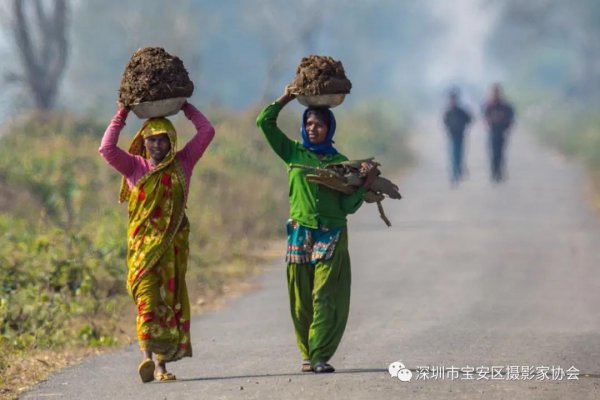 “鹏城赋彩·奋楫扬帆”《深圳宝安摄影12相》第五集主题摄影艺术展参展艺术家(图53) “鹏城赋彩·奋楫扬帆”《深圳宝安摄影12相》第五集主题摄影艺术展参展艺术家(图53)