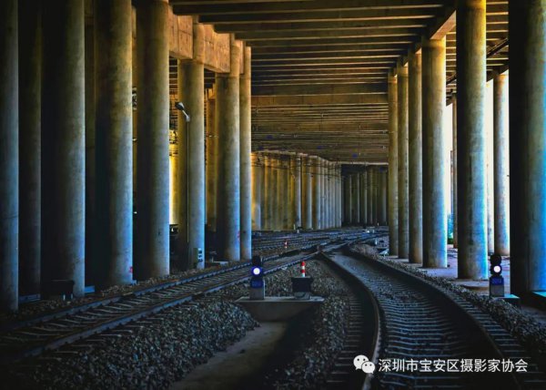 “鹏城赋彩·奋楫扬帆”《深圳宝安摄影12相》第五集主题摄影艺术展参展艺术家(图57) “鹏城赋彩·奋楫扬帆”《深圳宝安摄影12相》第五集主题摄影艺术展参展艺术家(图57)