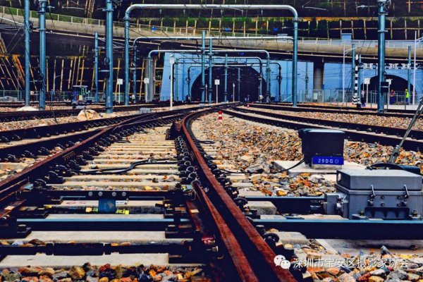 “鹏城赋彩·奋楫扬帆”《深圳宝安摄影12相》第五集主题摄影艺术展参展艺术家(图59) “鹏城赋彩·奋楫扬帆”《深圳宝安摄影12相》第五集主题摄影艺术展参展艺术家(图59)