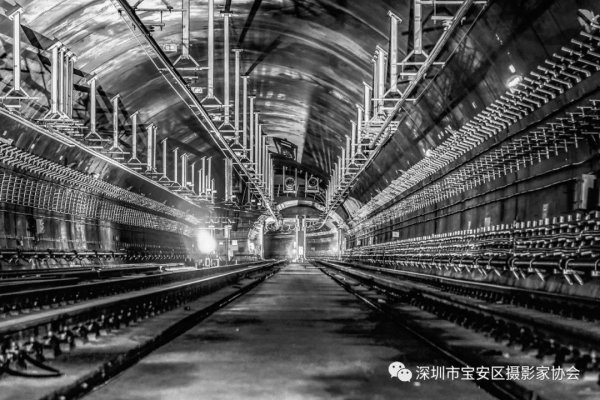 “鹏城赋彩·奋楫扬帆”《深圳宝安摄影12相》第五集主题摄影艺术展参展艺术家(图60) “鹏城赋彩·奋楫扬帆”《深圳宝安摄影12相》第五集主题摄影艺术展参展艺术家(图60)