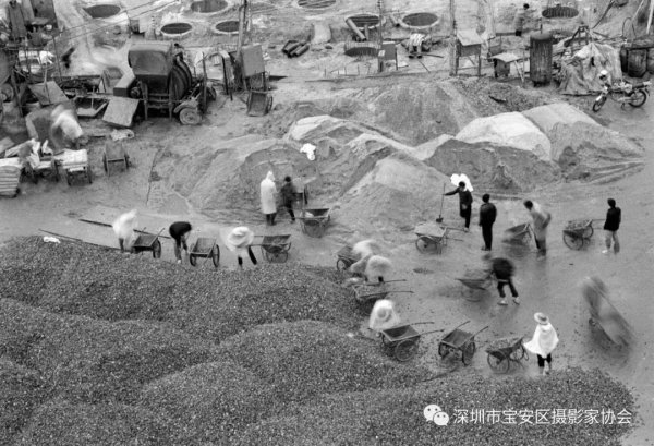 “鹏城赋彩·奋楫扬帆”《深圳宝安摄影12相》第五集主题摄影艺术展参展艺术家(图63) “鹏城赋彩·奋楫扬帆”《深圳宝安摄影12相》第五集主题摄影艺术展参展艺术家(图63)