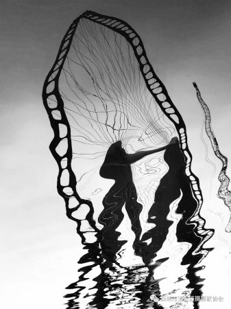 “鹏城赋彩·奋楫扬帆”《深圳宝安摄影12相》第五集主题摄影艺术展参展艺术家(图71) “鹏城赋彩·奋楫扬帆”《深圳宝安摄影12相》第五集主题摄影艺术展参展艺术家(图71)