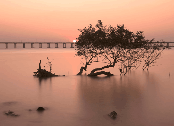 沙井街道2020年“蚝乡湖畔”美术摄影展在沙井街道党建中心圆满闭幕!(图31) 沙井街道2020年“蚝乡湖畔”美术摄影展在沙井街道党建中心圆满闭幕!(图31)