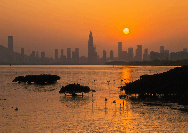 沙井街道2020年“蚝乡湖畔”美术摄影展在沙井街道党建中心圆满闭幕!(图33) 沙井街道2020年“蚝乡湖畔”美术摄影展在沙井街道党建中心圆满闭幕!(图33)