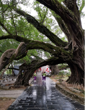  沙井街道2020年“蚝乡湖畔”美术摄影展在沙井街道党建中心圆满闭幕(图8)