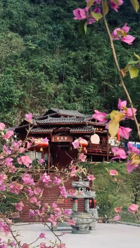 广西第一湾股份召开股东大会助推老区全域旅游发展(图12) 广西第一湾股份召开股东大会助推老区全域旅游发展(图12)