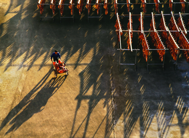 征稿启事|感光度:新时代 新风尚——第十一届“群艺杯”全国摄影艺术展览(图3) 征稿启事|感光度:新时代 新风尚——第十一届“群艺杯”全国摄影艺术展览(图3)