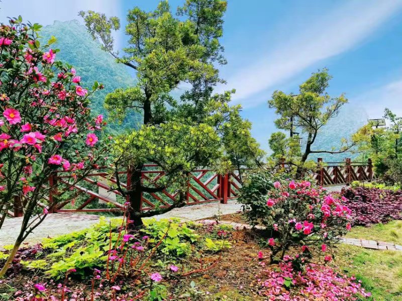 自带空调的避暑景区东兰长乐宫溶洞(图3) 自带空调的避暑景区东兰长乐宫溶洞(图3)