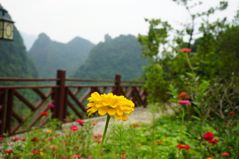 广西东兰景区焕然一新贺国庆喜迎二十大(图12) 广西东兰景区焕然一新贺国庆喜迎二十大(图12)