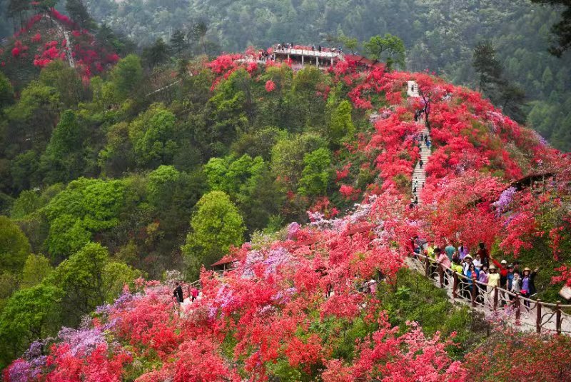 风景5.jpg