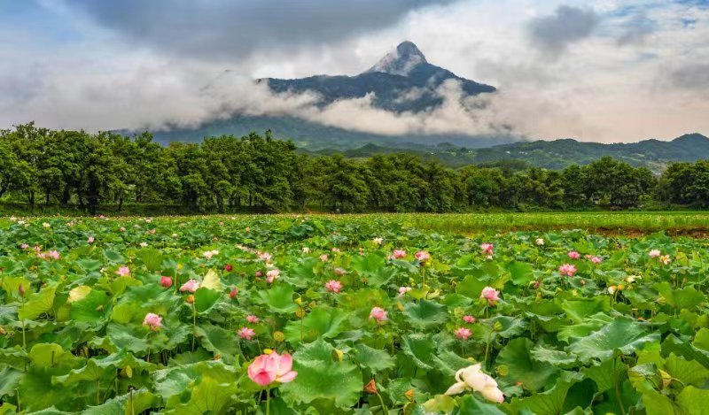 风景1.jpg