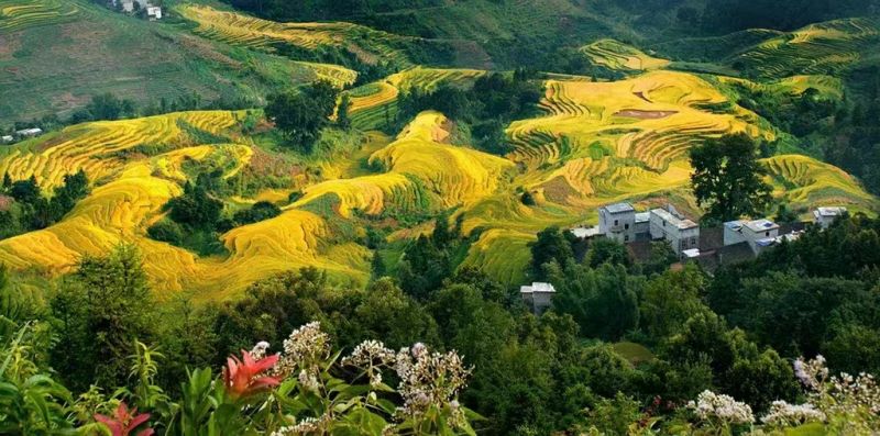 广西第一湾公司发布旅游歌曲受到广西壮族人民喜爱和追捧(图1)