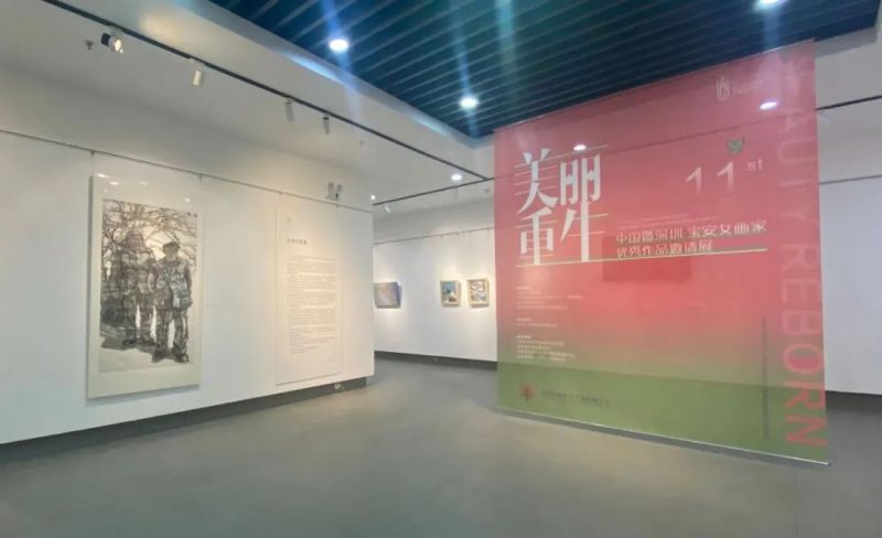 “美丽重生——中国暨深圳·宝安女画家优秀作品邀请展”在宝安图书馆开幕(图15)