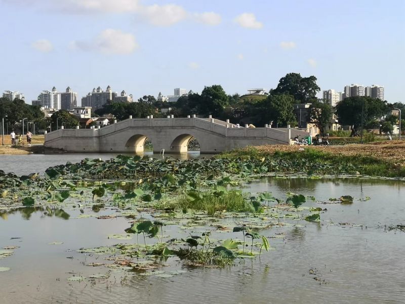 《沧海月明——东坑镇丁彭黄诗文集》问世刊行(图6)